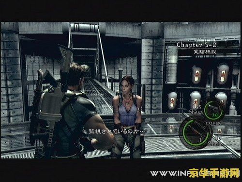 生化危机5佣兵模式 生化危机5：佣兵模式深度解析