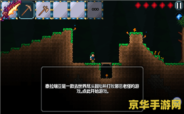 泰拉瑞亚修改器 泰拉瑞亚修改器：游戏深度定制与无限可能