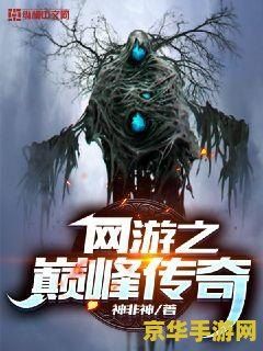 网游小说 网游之巅峰传说