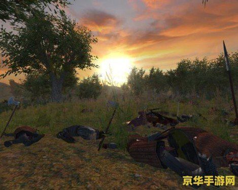 骑马与砍杀天下布武 骑马与砍杀：天下布武游戏深度解析