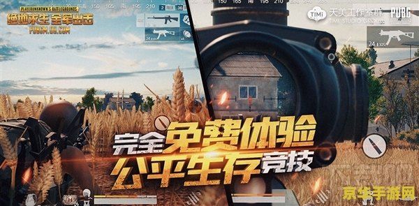 腾讯 绝地求生 腾讯绝地求生：生存竞技的巅峰之战