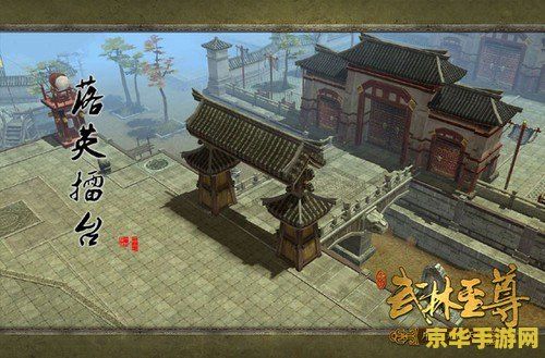 风云之天下会秘籍 风云之天下会秘籍：揭秘武林至尊之路