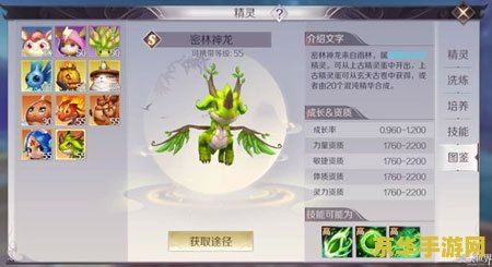 天书奇谈术士加点 天书奇谈术士加点策略深度解析