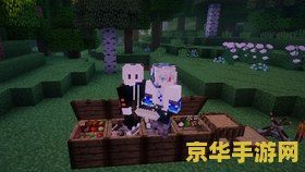 我的世界原始人生存 我的世界：原始人生存挑战