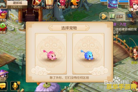 梦幻西游雷鸟人饰品 梦幻西游：雷鸟人饰品的神秘魅力与战斗加成