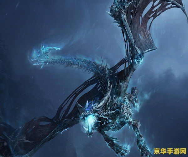 dota2寒冬飞龙 寒冬飞龙：冰霜之翼的凛冽舞者