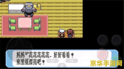 口袋妖怪红宝石金手指 口袋妖怪红宝石金手指秘籍大揭秘
