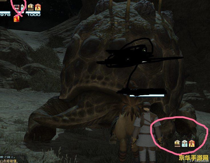 ff14陆行鸟 FF14中的陆行鸟竞赛与养成