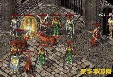 矿工传奇 矿工传奇：地心深处的探险与财富