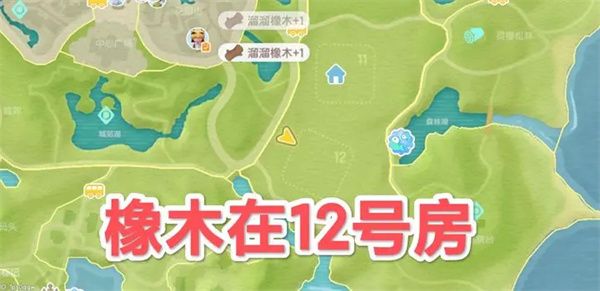 心动小镇5.9溜溜橡木与无瑕萤石位置