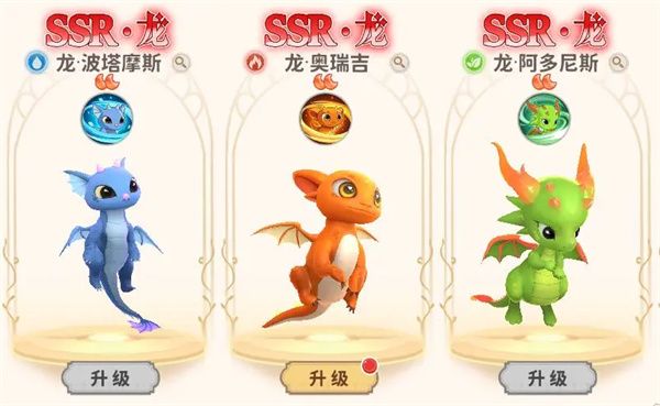 龙骑士学园宠物获取方法攻略分享