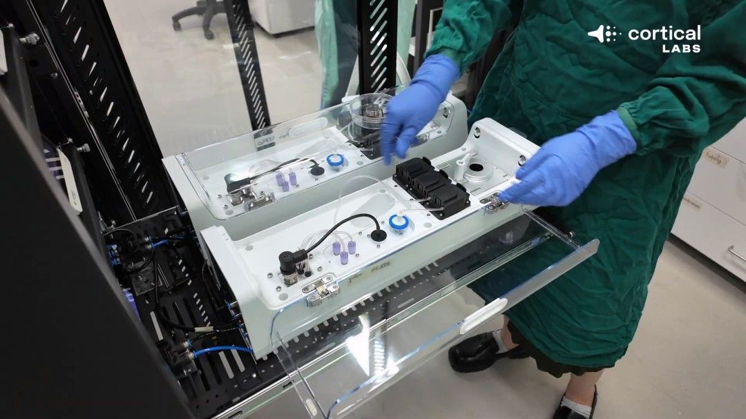 震惊！芯片上的人脑细胞一周内学会了玩《毁灭战士》