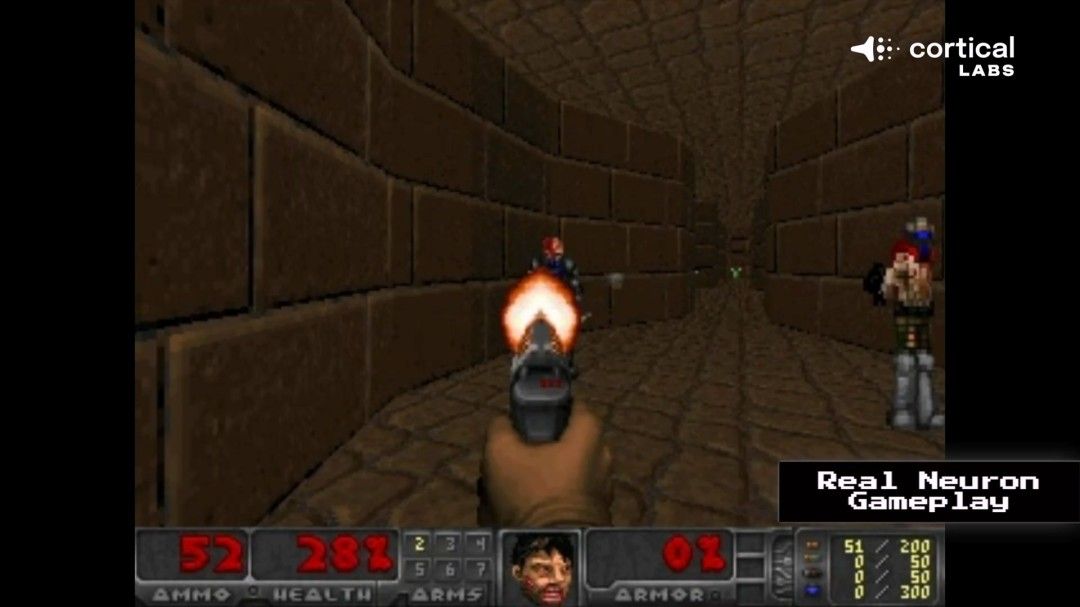 震惊！芯片上的人脑细胞一周内学会了玩《毁灭战士》