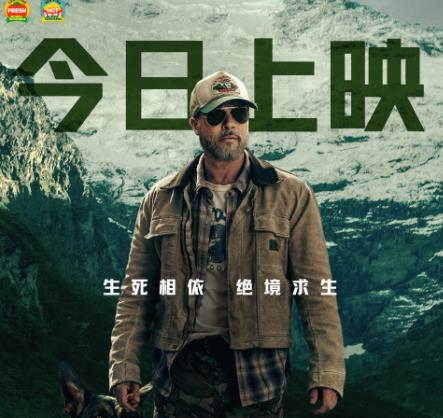 布拉德·皮特新片《野兽之心》今日上映 人犬情深奋力寻找回家之路
