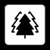 big tree
