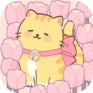 我的猫系男友抖音版