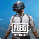 和平精英国际服pubg
