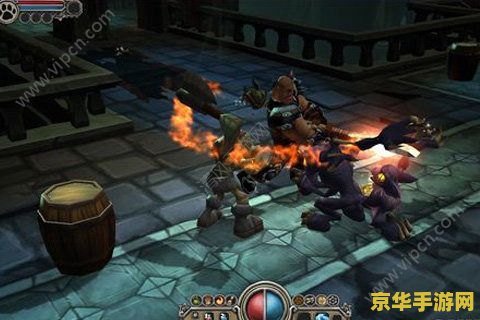 火炬之光 火炬之光：光明与暗影的较量