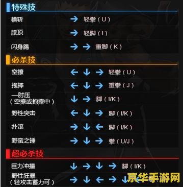炫斗之王出招表 炫斗之王出招表及游戏深度解析