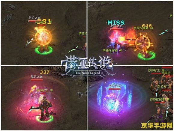 诺亚传说格斗家加点 诺亚传说格斗家加点策略深度解析