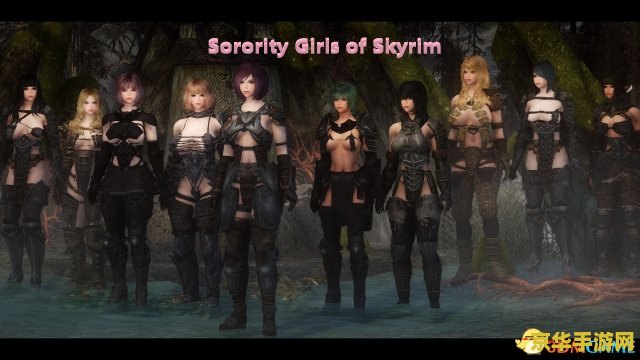 上古卷轴5随从mod 上古卷轴5：天际中的随从MOD深度解析