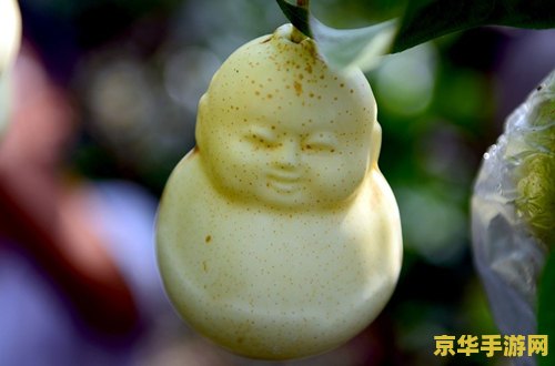 梦幻超级人参果 梦幻超级人参果：游戏中的神秘力量源泉