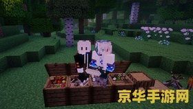 我的世界原始人生存 我的世界：原始人生存挑战