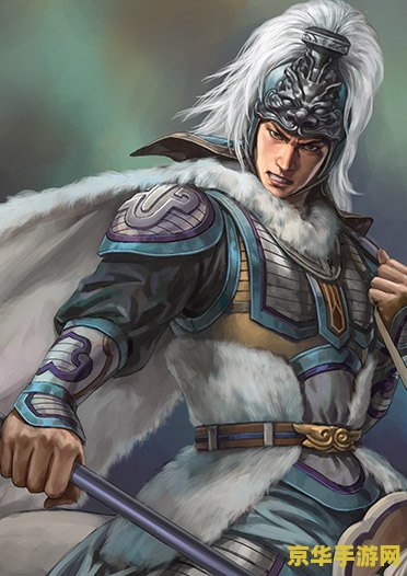 三国战纪许褚 三国战纪中的猛将风采：许褚的战场传奇