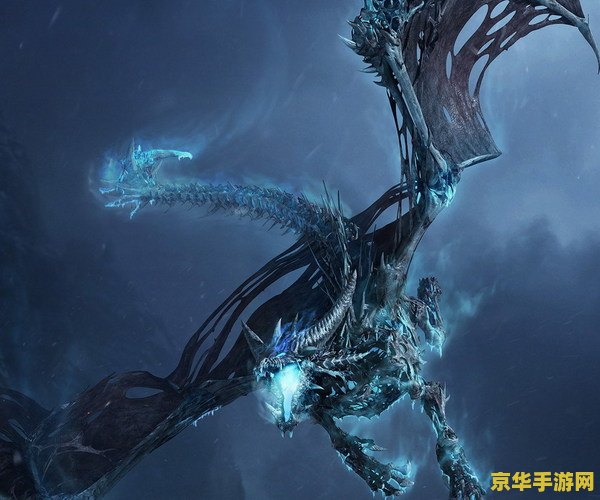 dota2寒冬飞龙 寒冬飞龙：冰霜之翼的凛冽舞者