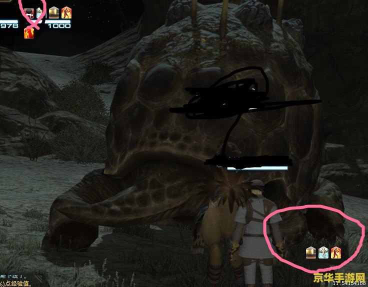 ff14陆行鸟 FF14中的陆行鸟竞赛与养成